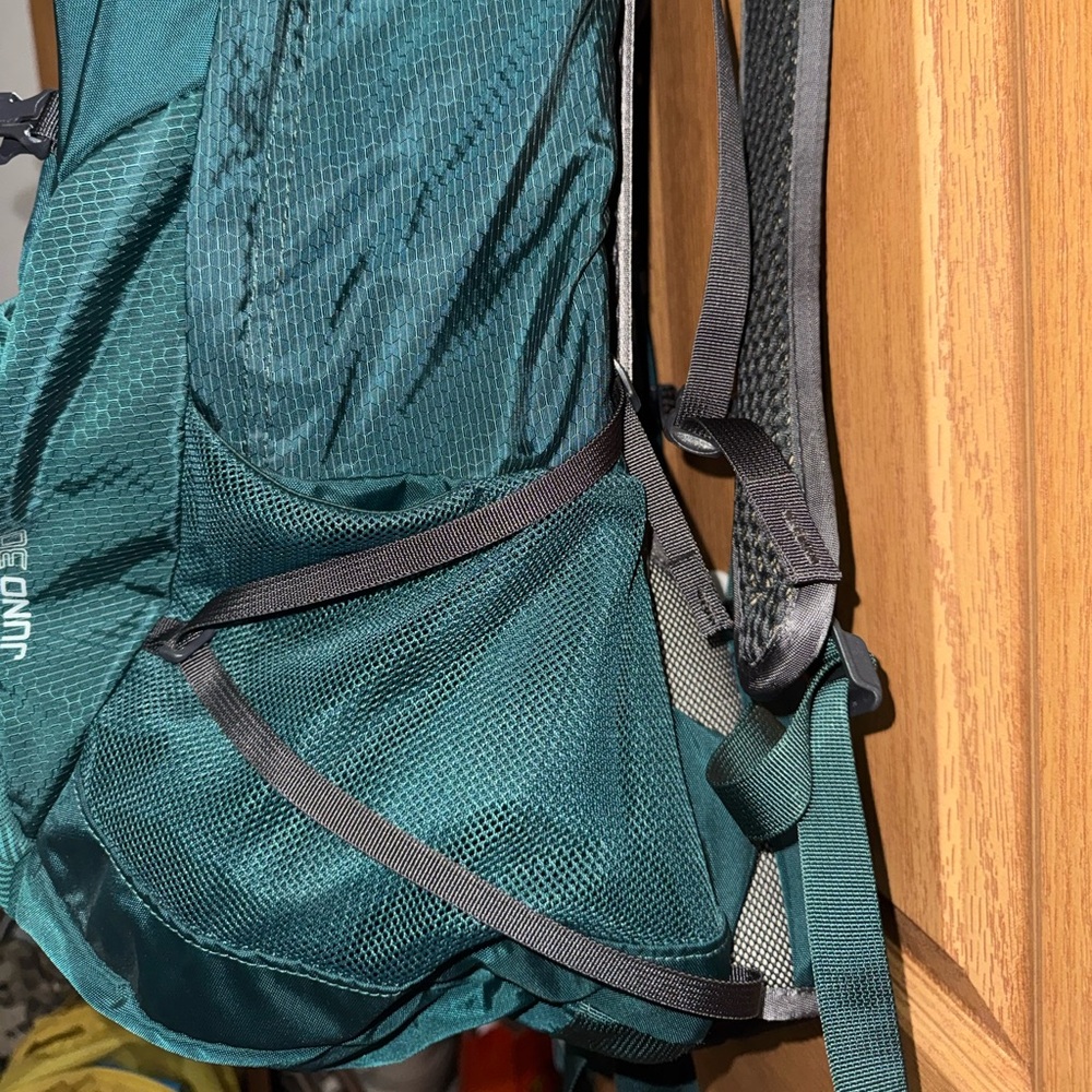 Gregory Juno 30 Backpack in the color Emerald Green - Picture 11 of 13